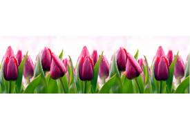 Кухонный фартук Тюльпаны  3,0 м.