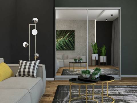 Шкаф-купе Светлана зеркало/зеркало серый