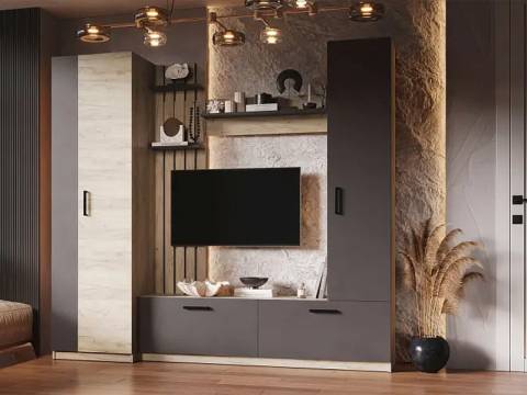 Гостиная Рокси дуб серый/серый графит