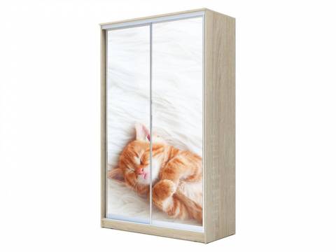 Шкаф-купе Хит 23-12-77 фотопечать 23