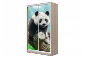 Шкаф-купе Хит 23-15-77 фото 29